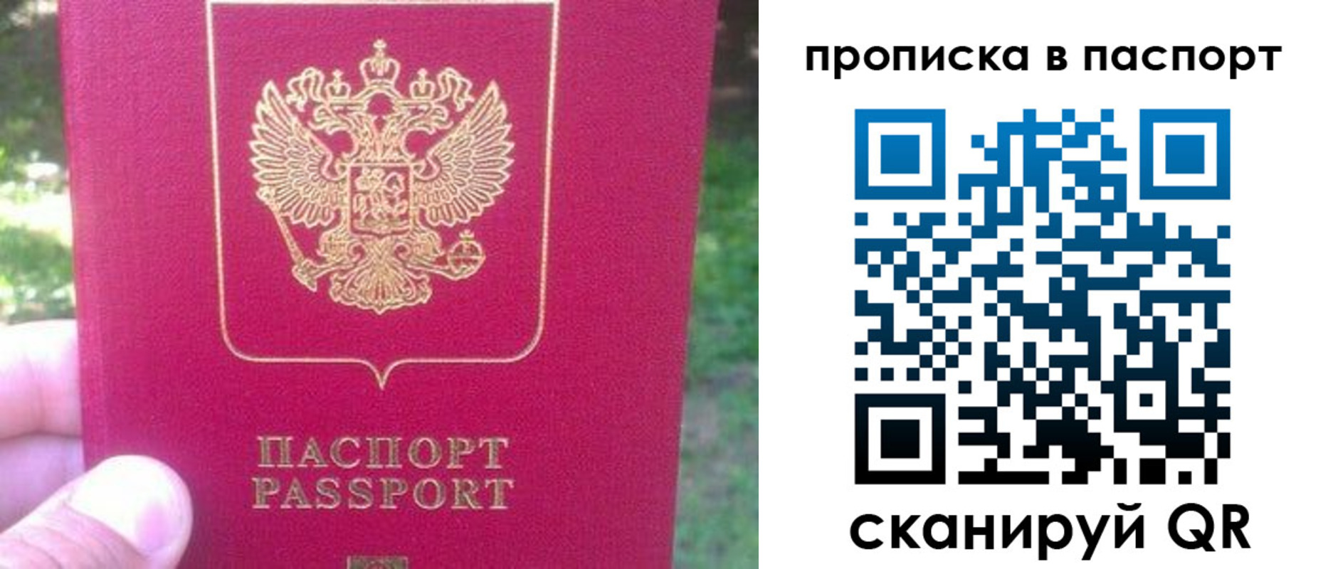 временная регистрация для всех в Ясном